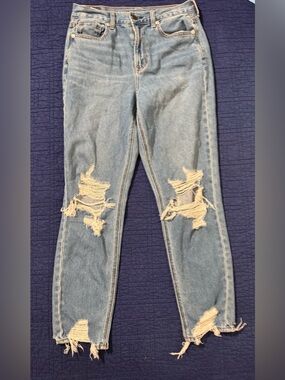 American Eagle Outfitters Light Blue Distressed Skinny Jeans